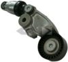 SPIDAN 71157 Tensioner Lever, v-ribbed belt